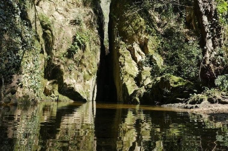 Tomt till salu i Santa Cristina d'Aro - 90 000 € (Ref: 9240685)