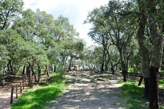 Solar/Parcela en Santa Cristina d'Aro en venta - 90.000 € (Ref: 9240685)