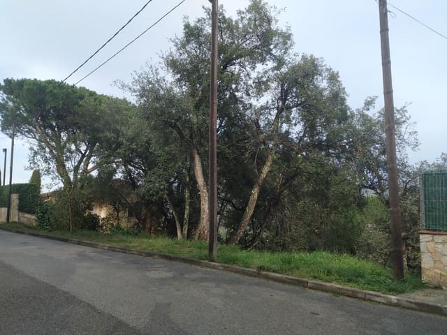 Ubebygd land til salgs i Calonge i Sant Antoni - € 132 000 (Ref: 9240689)