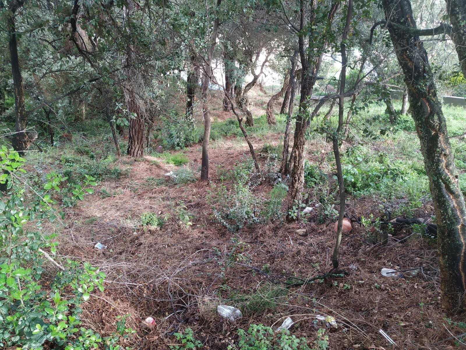 Undeveloped Land for sale in Calonge i Sant Antoni - € 132,000 (Ref: 9240689)