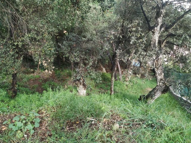 Mark till salu i Calonge i Sant Antoni - 132 000 € (Ref: 9240689)