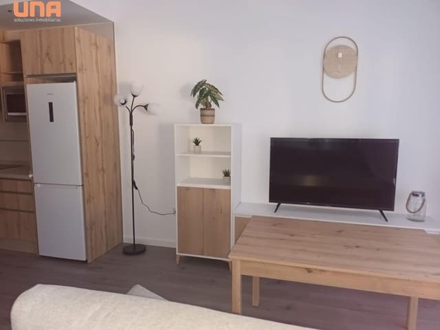 Loft for rent in Córdoba city - € 595 (Ref: 9438176)