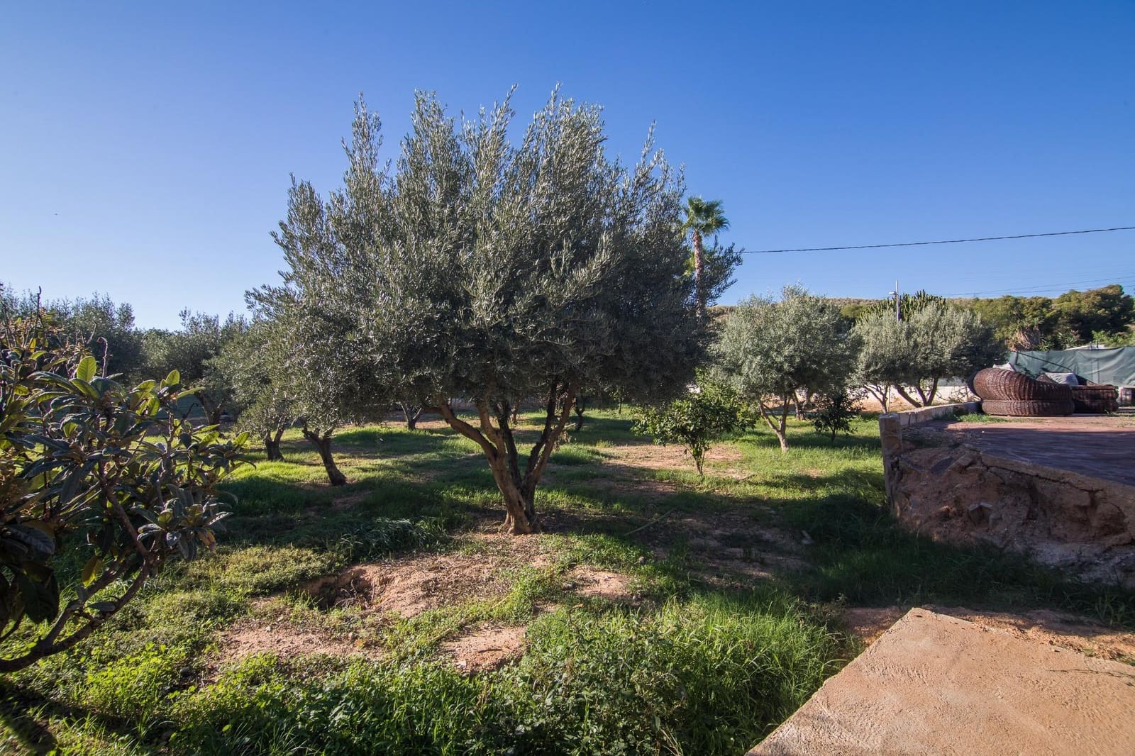 3 soverom Villa til salgs i Elche / Elx med svømmebasseng - € 430 000 (Ref: 9272668)