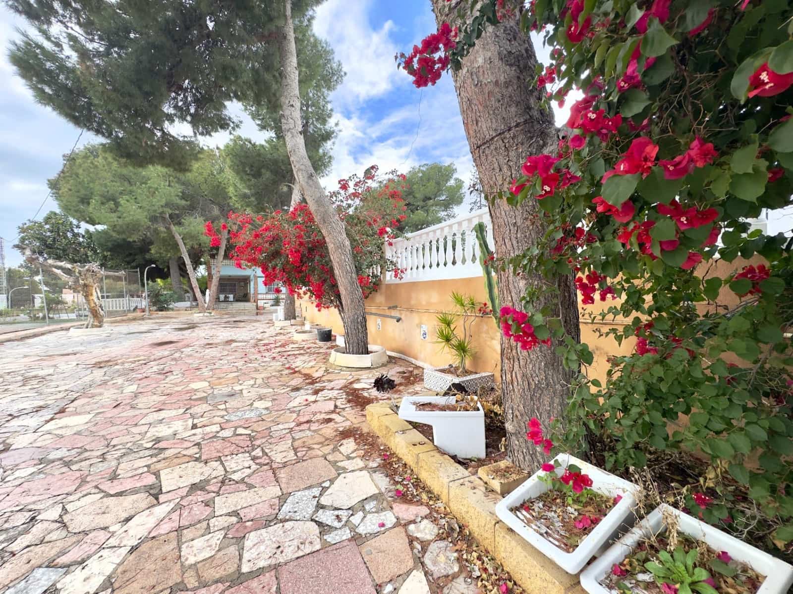 13 bedroom Villa for sale in Elche / Elx with pool - € 410,000 (Ref: 9502442)