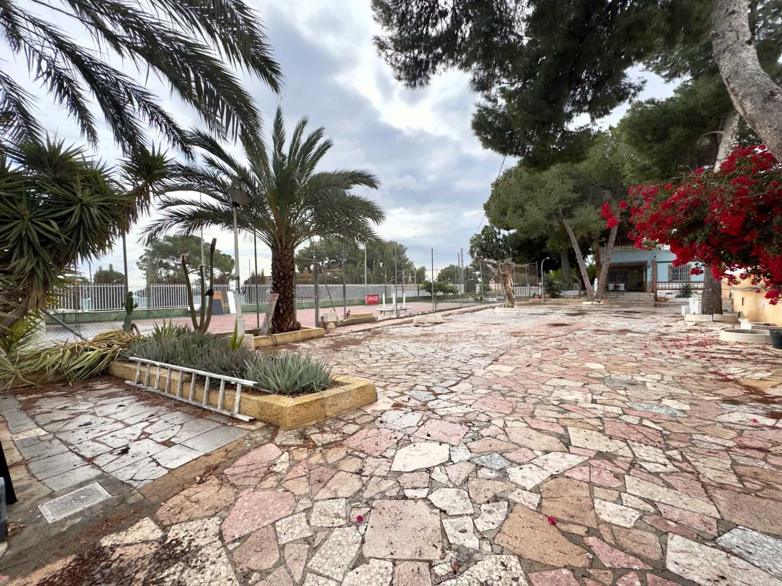 13 bedroom Villa for sale in Elche / Elx with pool - € 410,000 (Ref: 9502442)