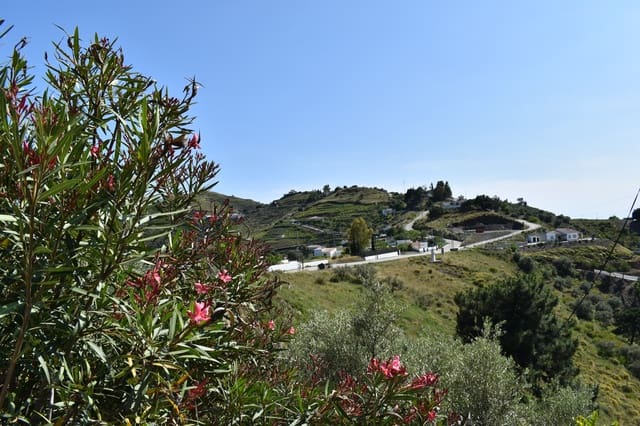 1 bedroom Finca/Country House for holiday rental in Cómpeta with pool - € 410 (Ref: 6307428)