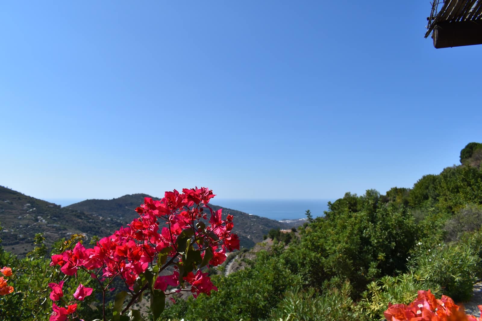 3 soveværelse Finca/Landehus til leje i Competa med swimmingpool - € 1.350 (Ref: 6317378)