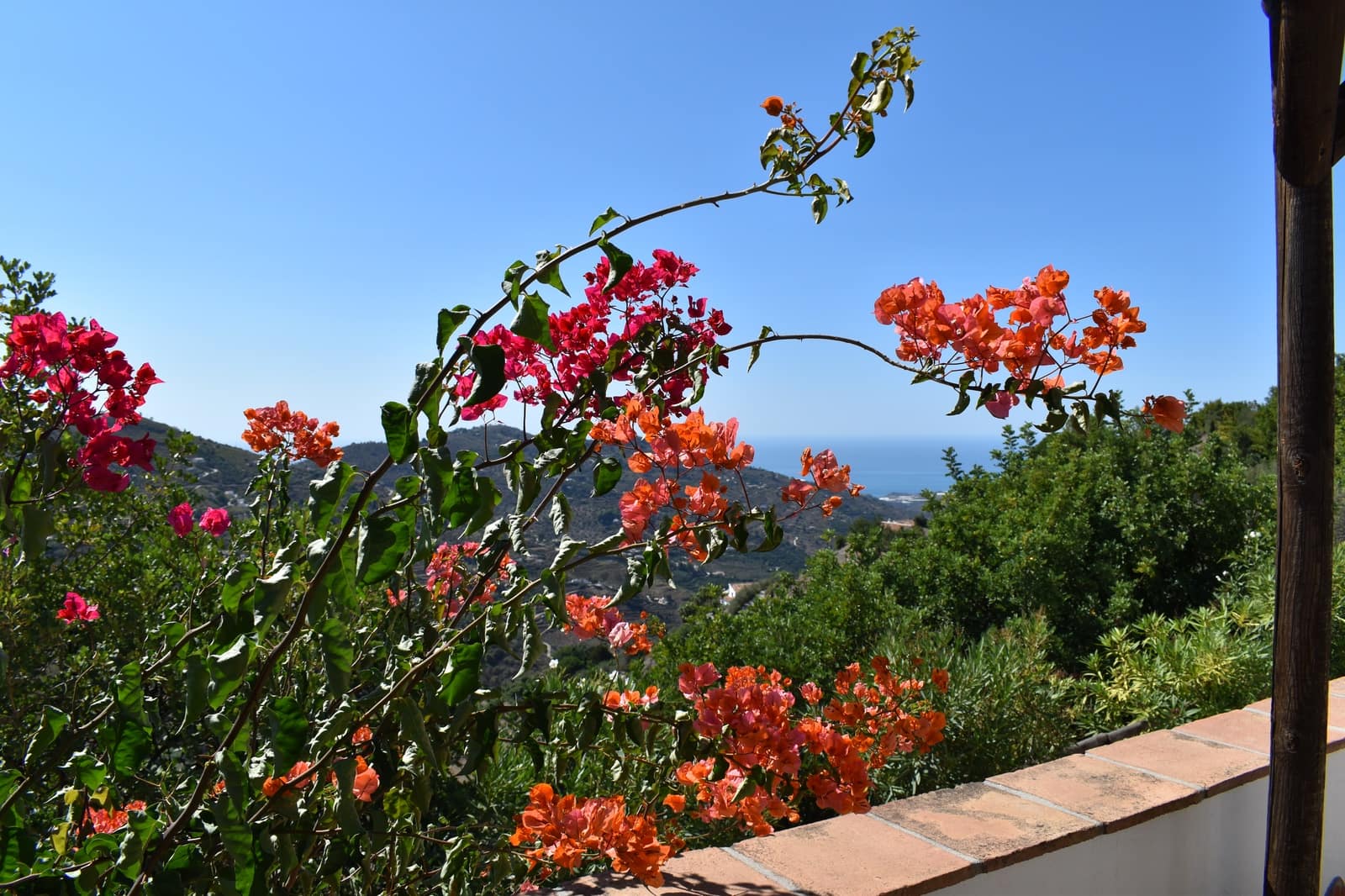 3 soveværelse Finca/Landehus til leje i Competa med swimmingpool - € 1.350 (Ref: 6317378)