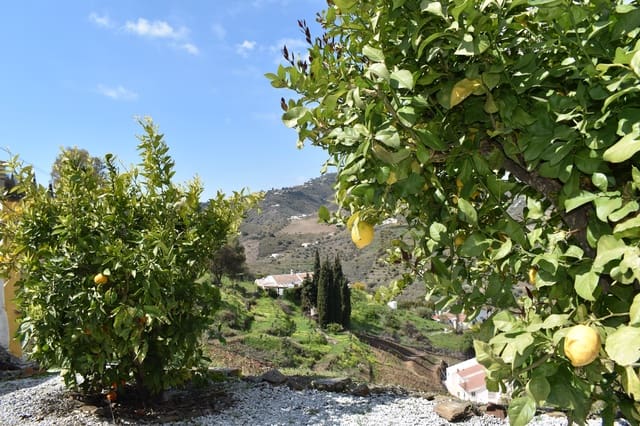 3 bedroom Finca/Country House for holiday rental in Torrox with pool - € 858 (Ref: 6734277)