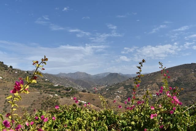 3 sovrum Finca/Hus på landet att hyra i Cómpeta - 1 250 € (Ref: 9181507)