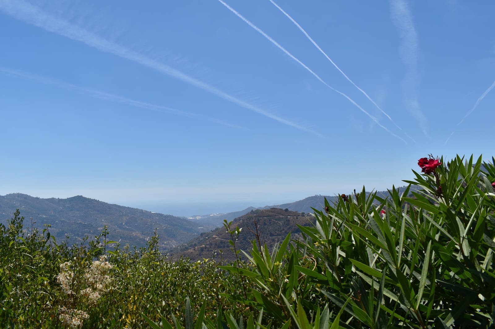 3 quarto Quinta/Casa Rural para arrendar em Competa com piscina - 1 400 € (Ref: 9542422)