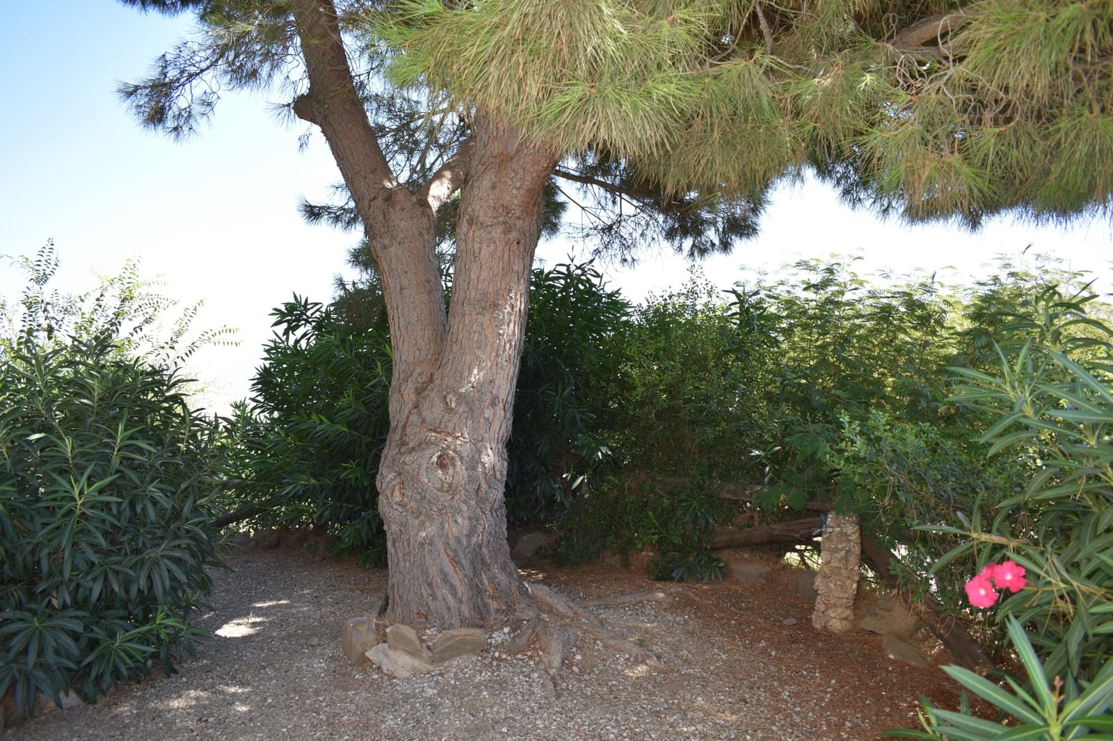 3 quarto Quinta/Casa Rural para arrendar em Competa com piscina - 1 400 € (Ref: 9542422)