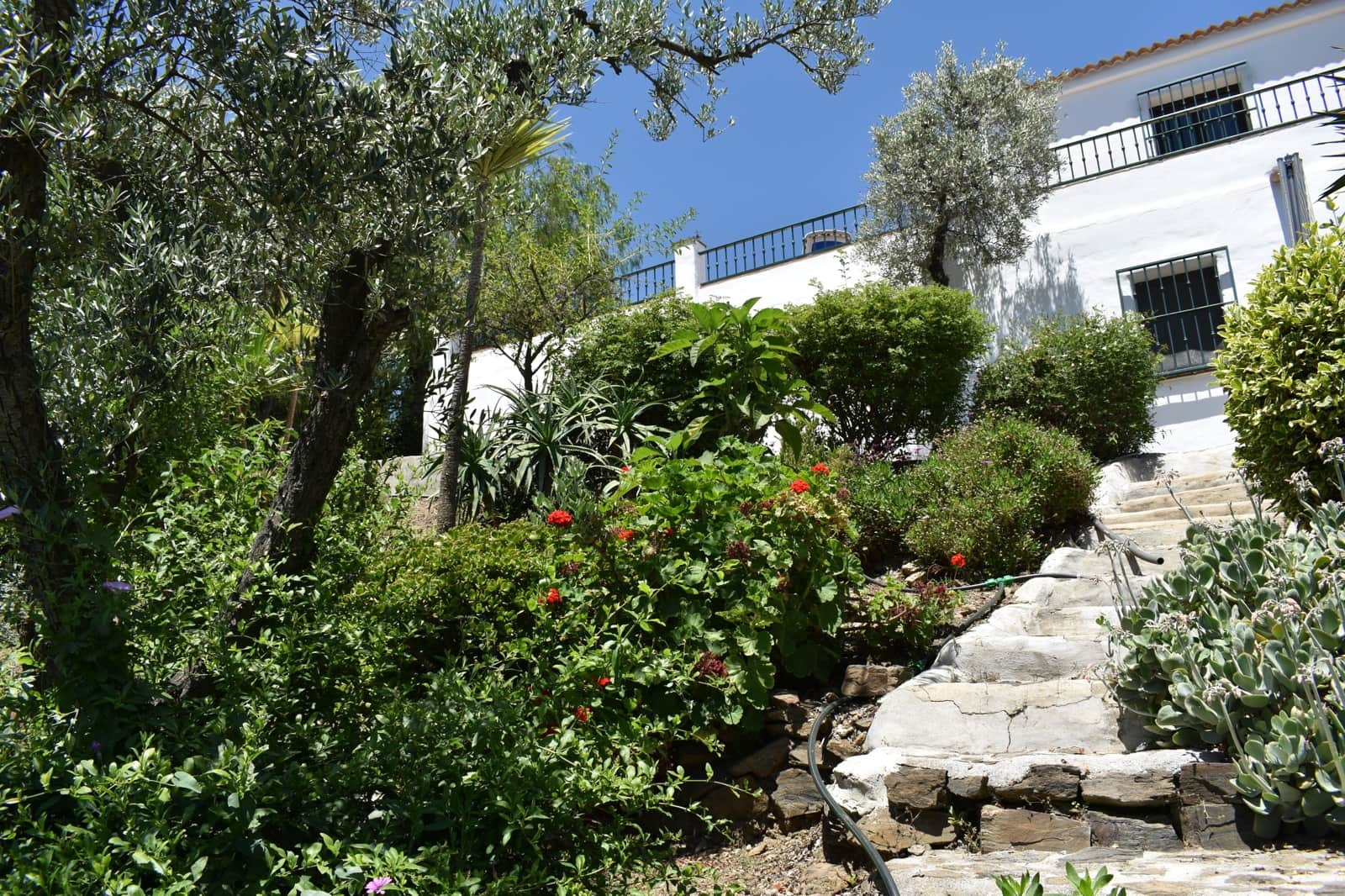 2 sovrum Finca/Hus på landet att hyra i Corumbela med pool - 800 € (Ref: 9794970)