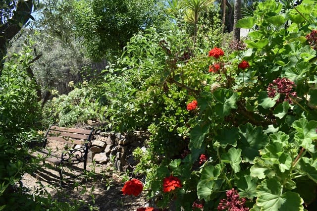 2 sovrum Finca/Hus på landet att hyra i Corumbela, Sayalonga med pool - 800 € (Ref: 9794970)