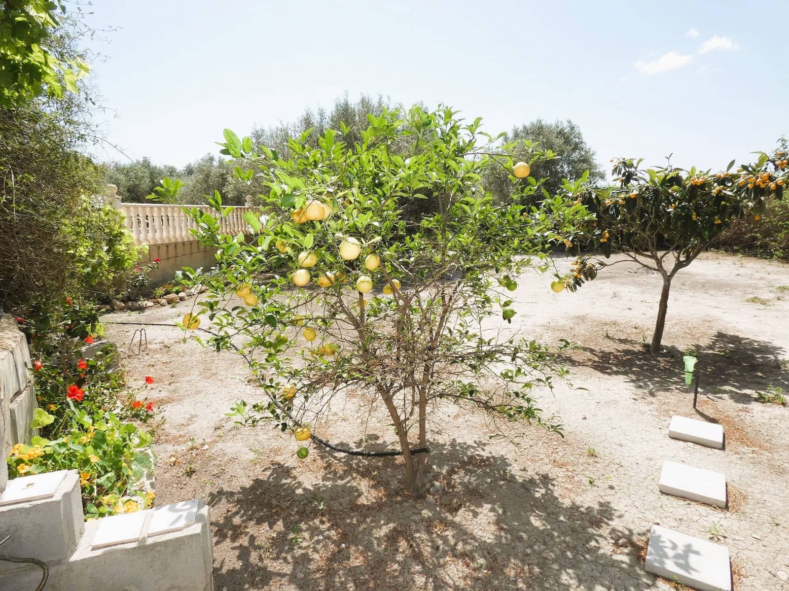 3 sypialnia Finka/Dom wiejski na sprzedaż w Dolores - 495 000 € (Ref: 8004012)