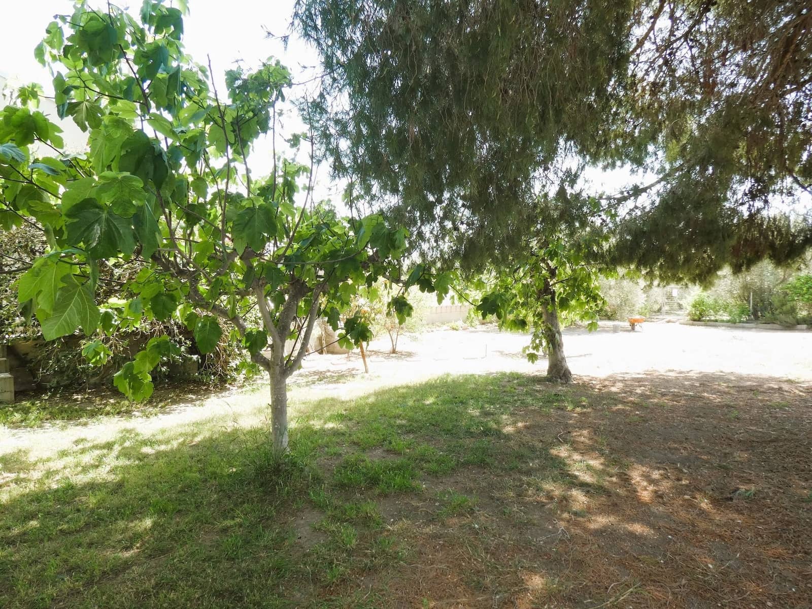 3 sypialnia Finka/Dom wiejski na sprzedaż w Dolores - 495 000 € (Ref: 8004012)