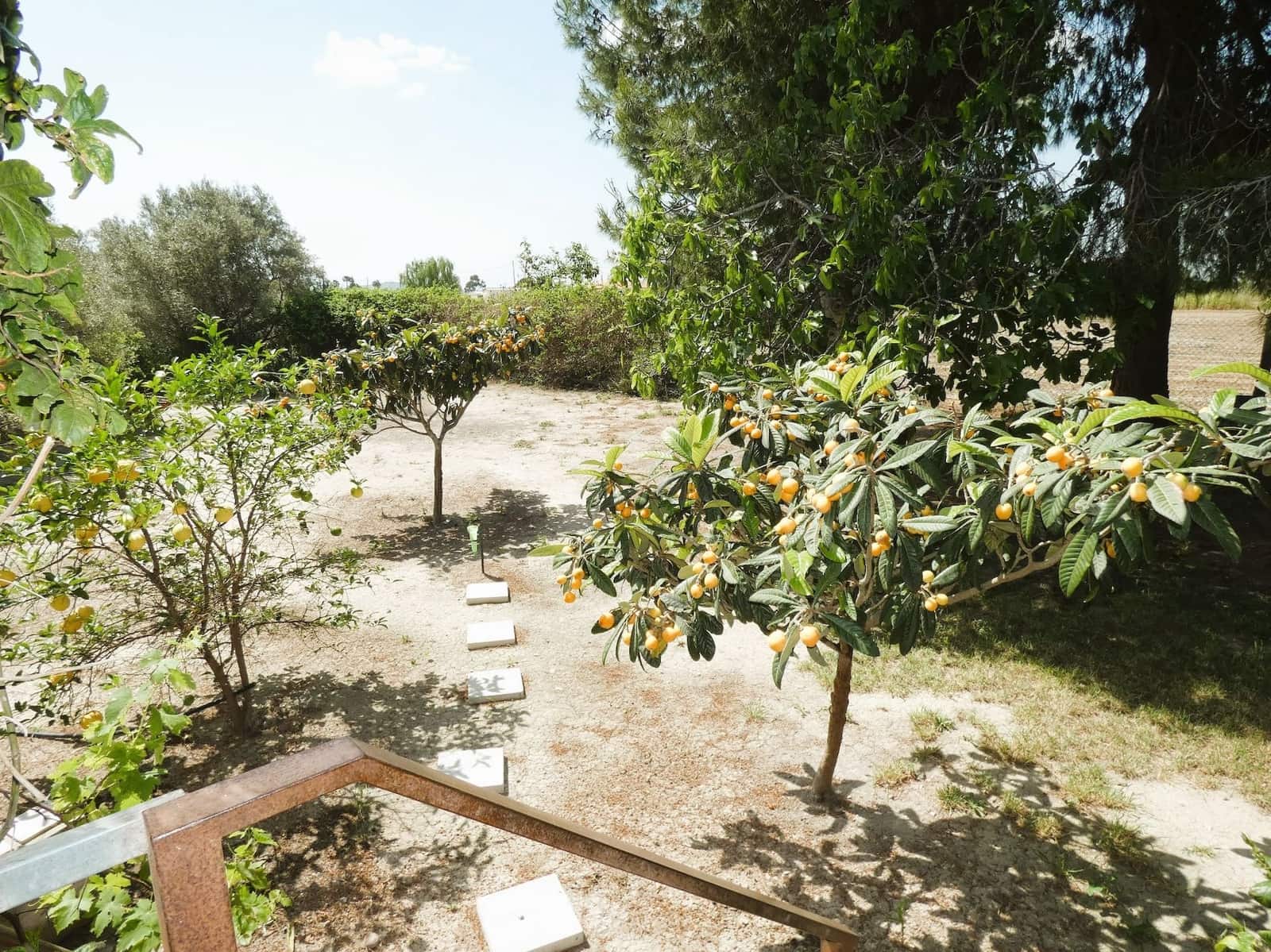 3 sypialnia Finka/Dom wiejski na sprzedaż w Dolores - 495 000 € (Ref: 8004012)