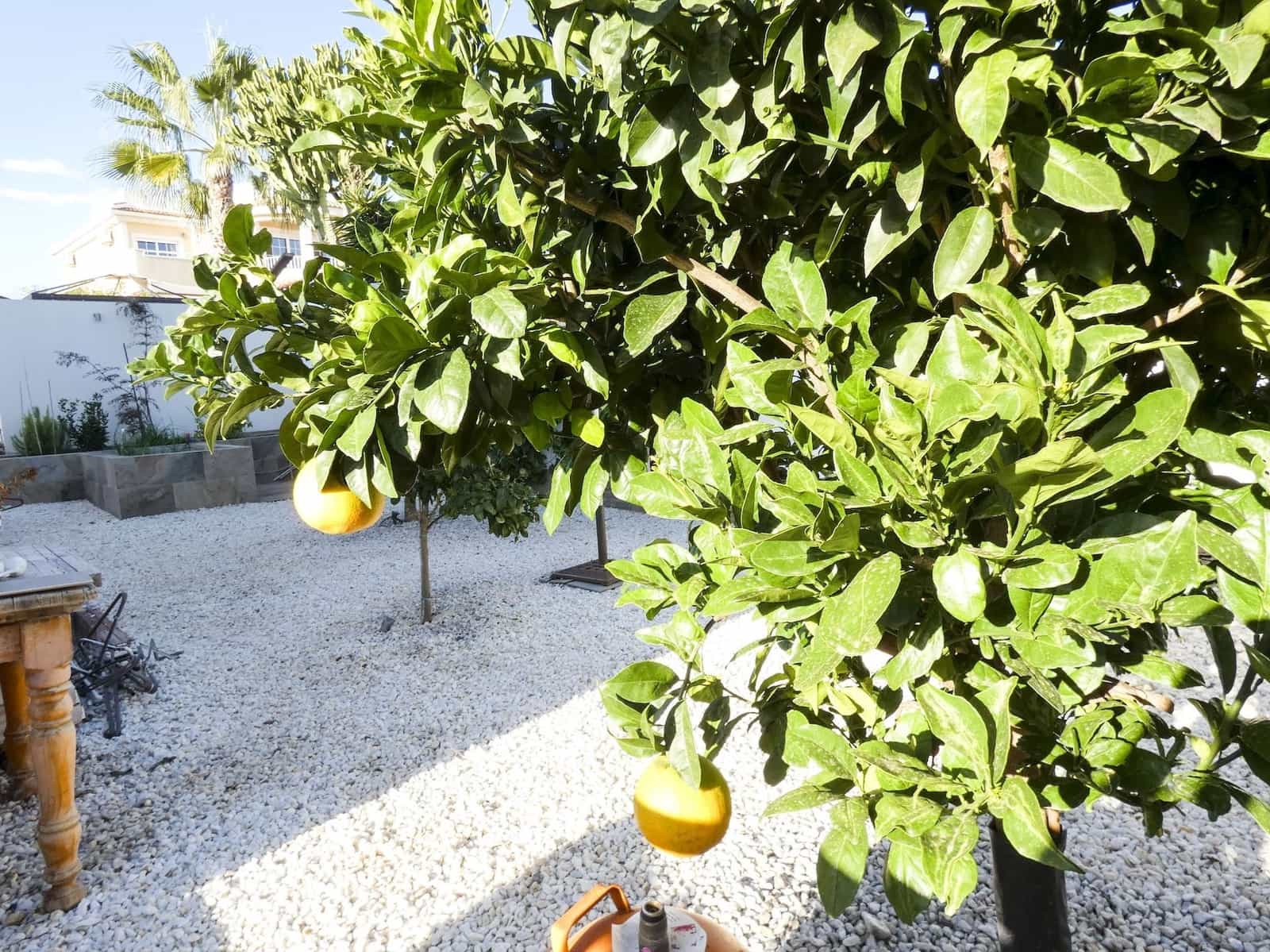 Chalet de 5 habitaciones en Ciudad Quesada en venta con piscina garaje - 469.000 € (Ref: 8635731)