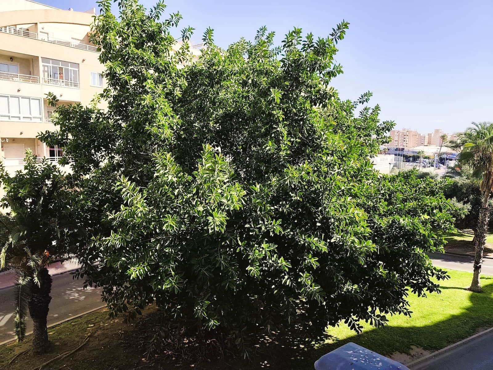 2 quarto Apartamento para venda em Torrevieja com piscina garagem - 139 000 € (Ref: 9272852)