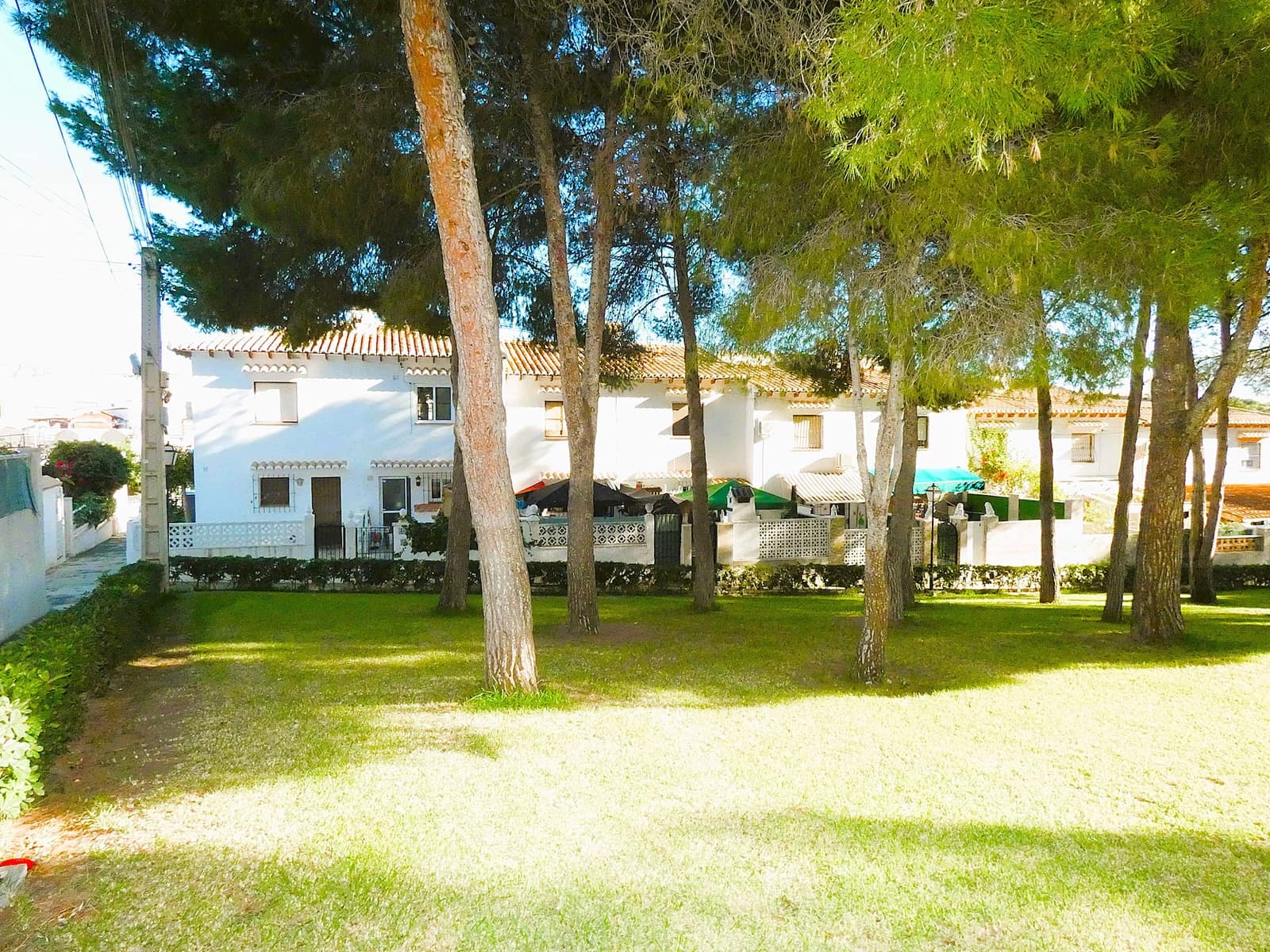 1 bedroom Bungalow for sale in Los Balcones with pool - € 109,000 (Ref: 9421503)