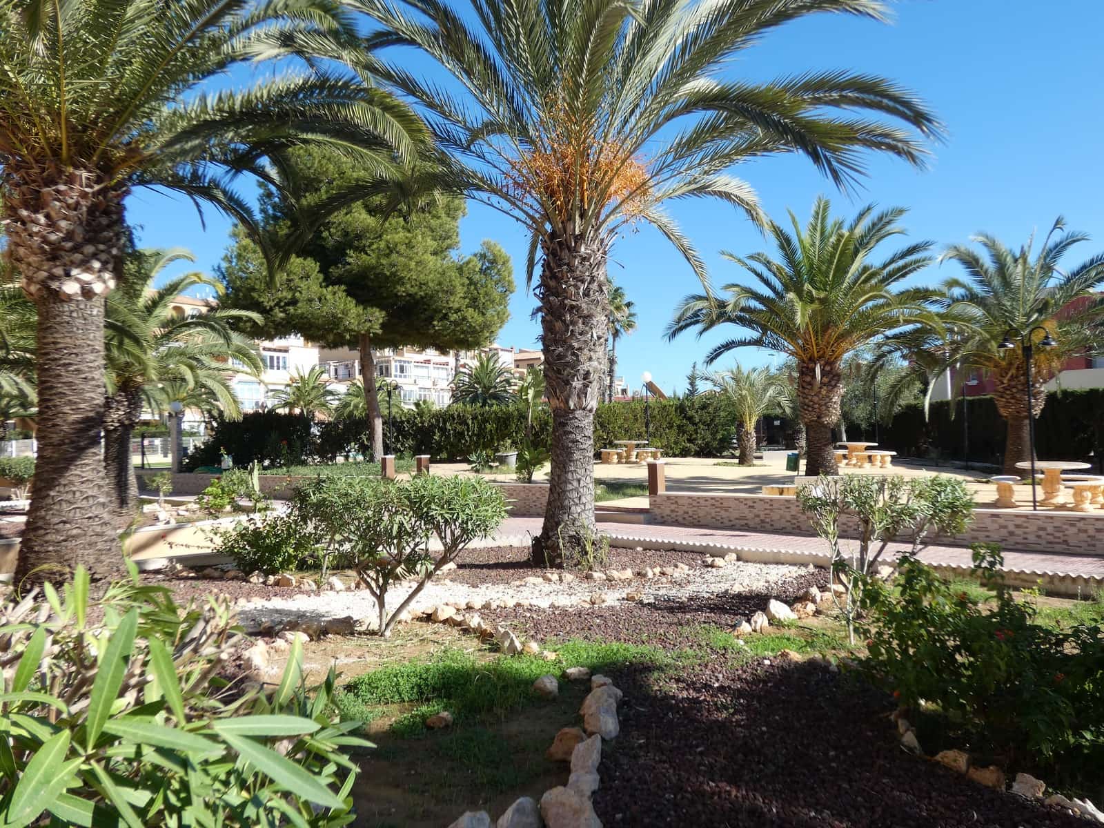 Apartamento de 3 habitaciones en La Mata en venta con piscina garaje - 179.000 € (Ref: 9438812)