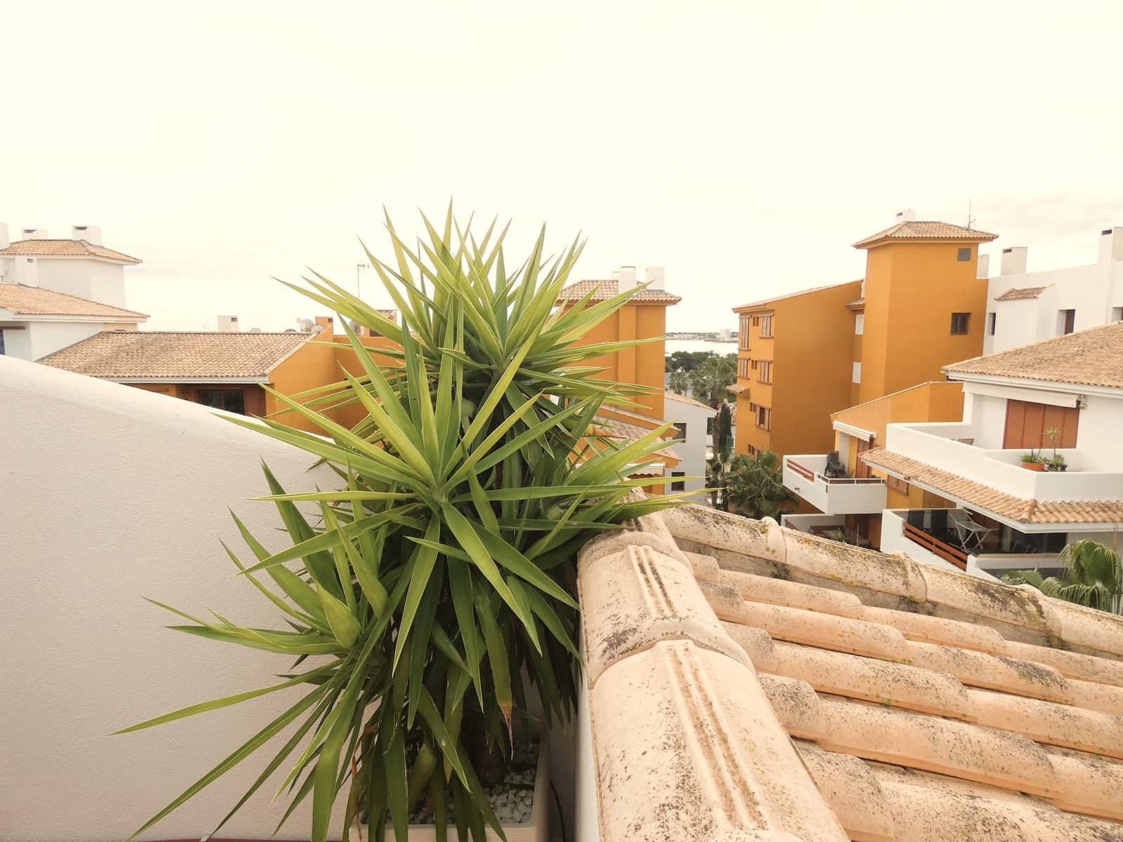 2 soverom Leilighet til salgs i Punta Prima med svømmebasseng garasje - € 375 000 (Ref: 9522853)