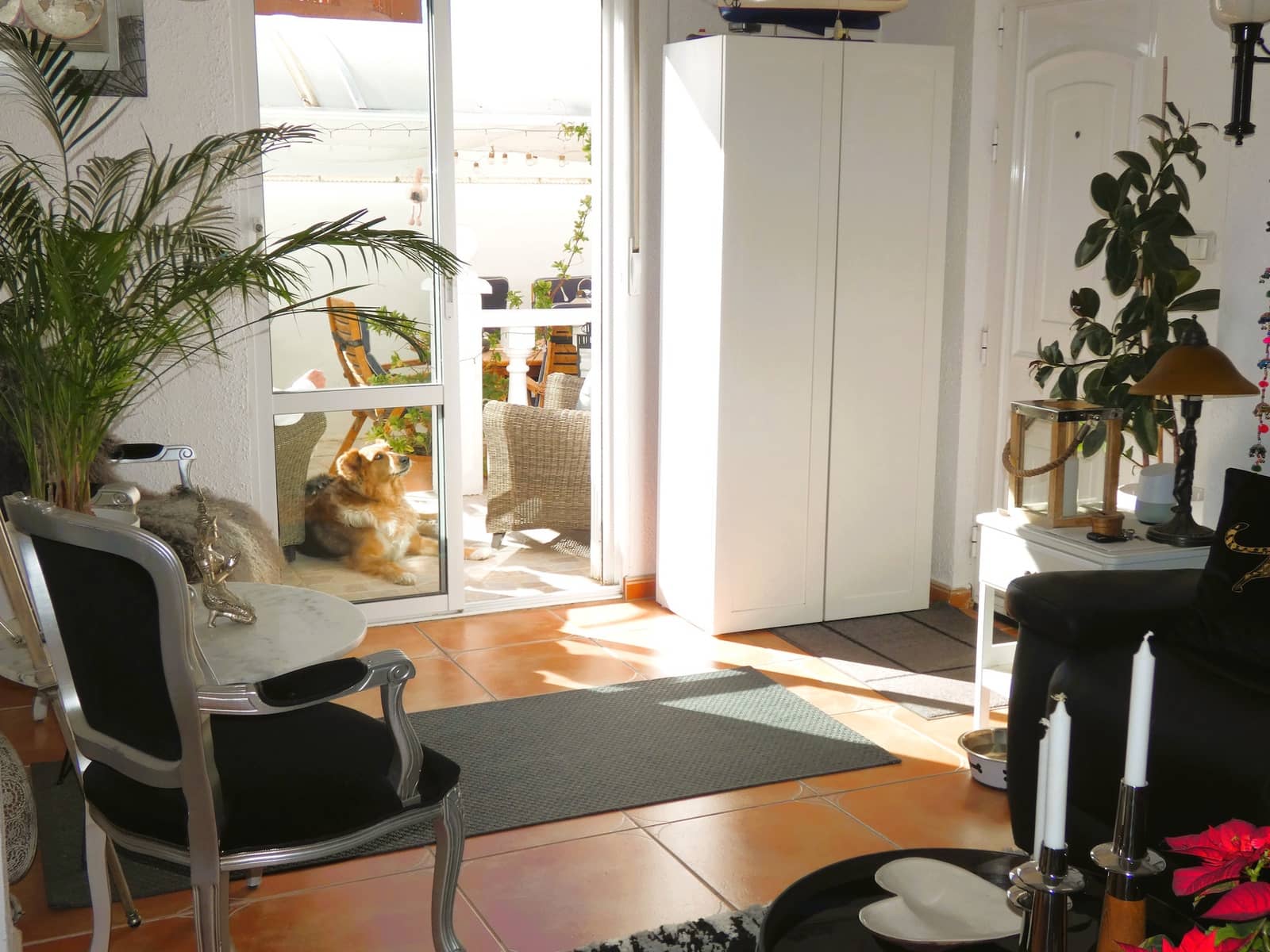 2 sovrum Villa till salu i San Miguel de Salinas med pool - 269 000 € (Ref: 9618607)