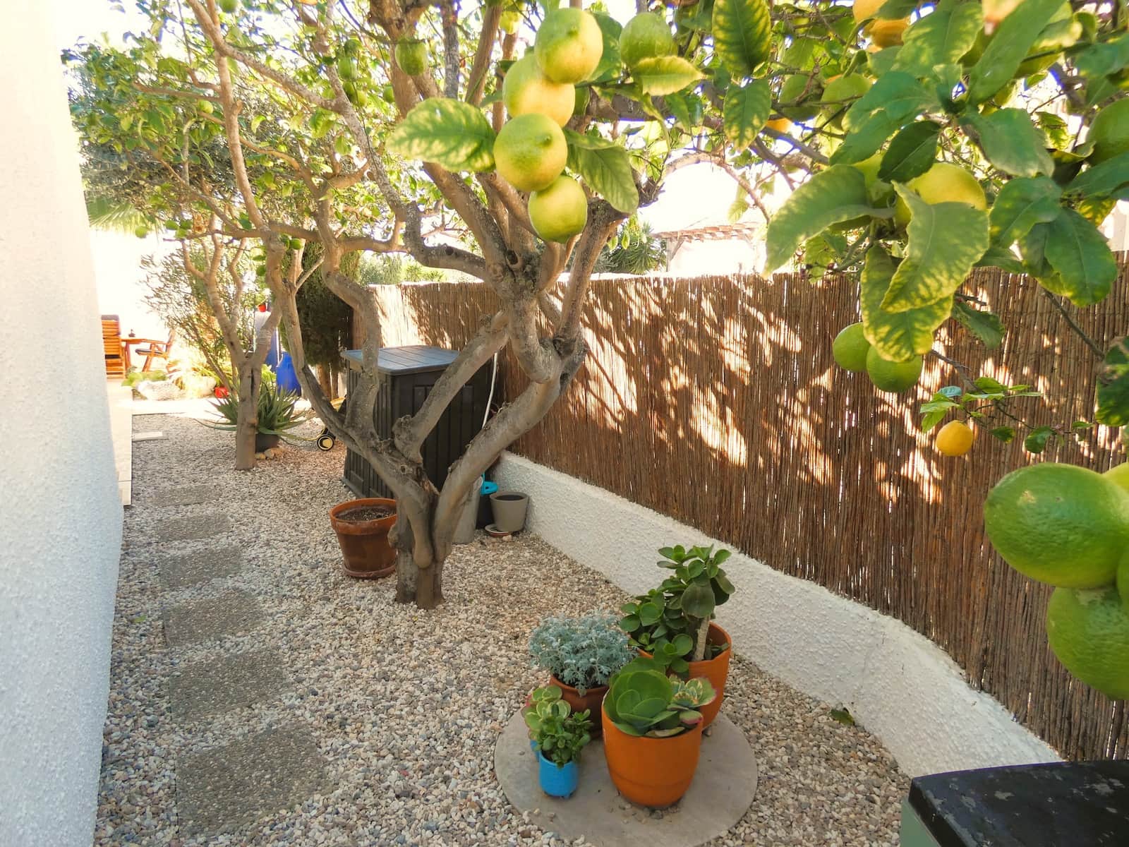 2 sovrum Villa till salu i San Miguel de Salinas med pool - 269 000 € (Ref: 9618607)