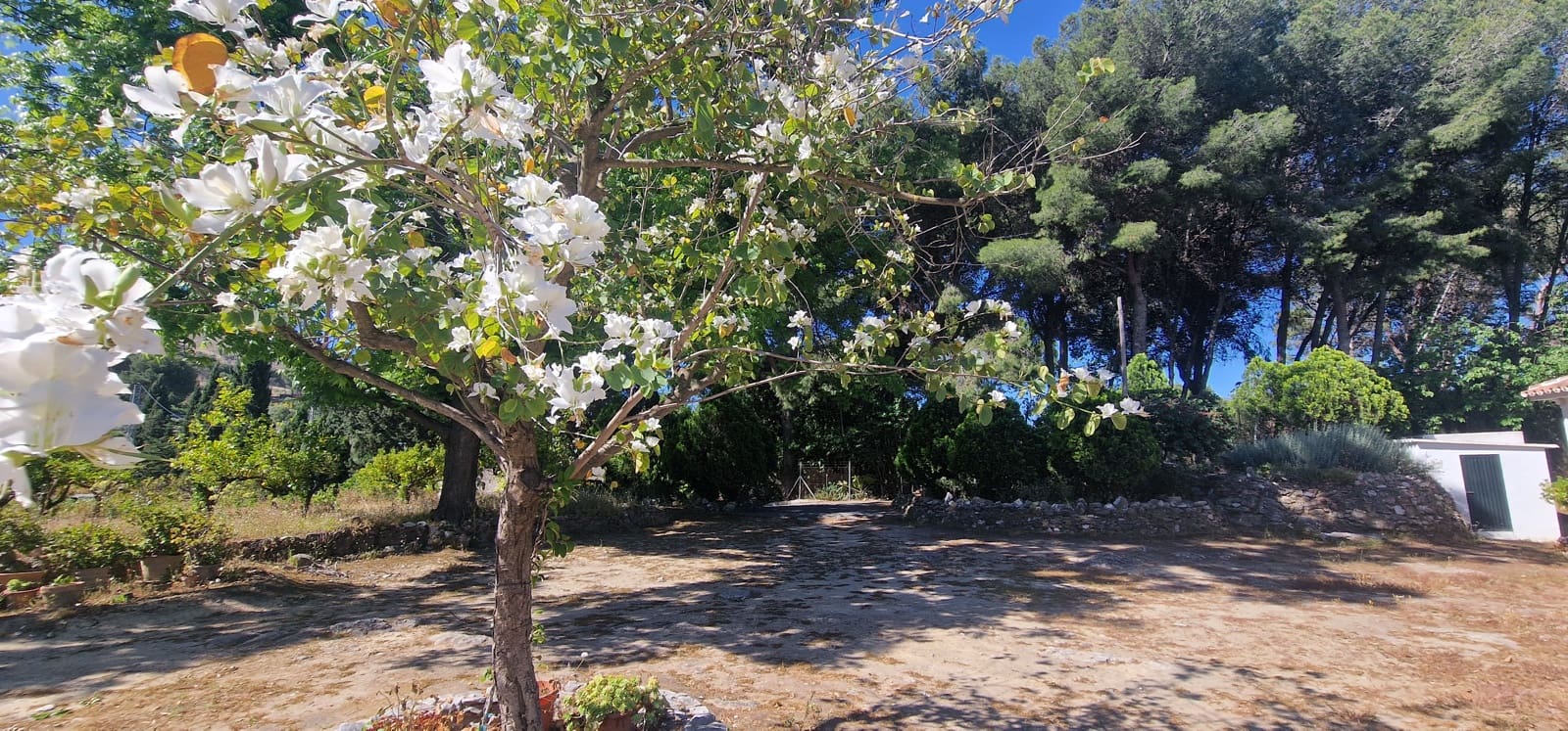 5 soverom Finca/Herregård til salgs i Alhaurin el Grande med svømmebasseng garasje - € 795 000 (Ref: 9033497)