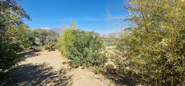 3 soveværelse Finca/Landehus til salg i Coin med swimmingpool - € 465.000 (Ref: 9343088)