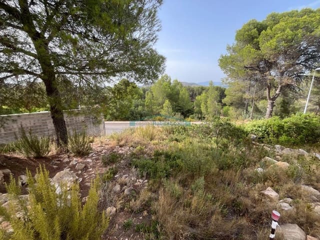 Bouwgrond te koop in Algar de Palancia - € 63.000 (Ref: 10078716)