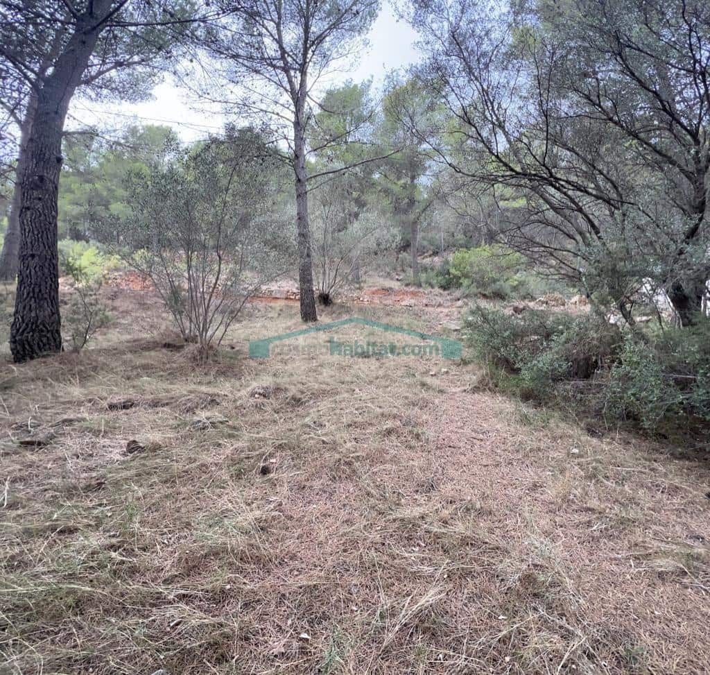 Tontti myytävänä paikassa Serra - 50 000 € (Ref: 10078743)