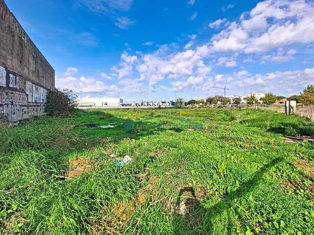 Terre non Aménagée à vendre à Albal - 930 000 € (Ref: 10174031)
