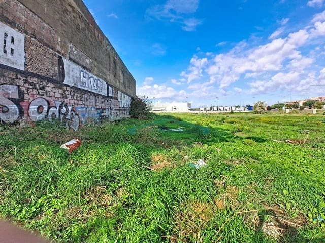 Terre non Aménagée à vendre à Albal - 930 000 € (Ref: 10174031)