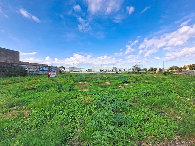 Terre non Aménagée à vendre à Albal - 930 000 € (Ref: 10174031)