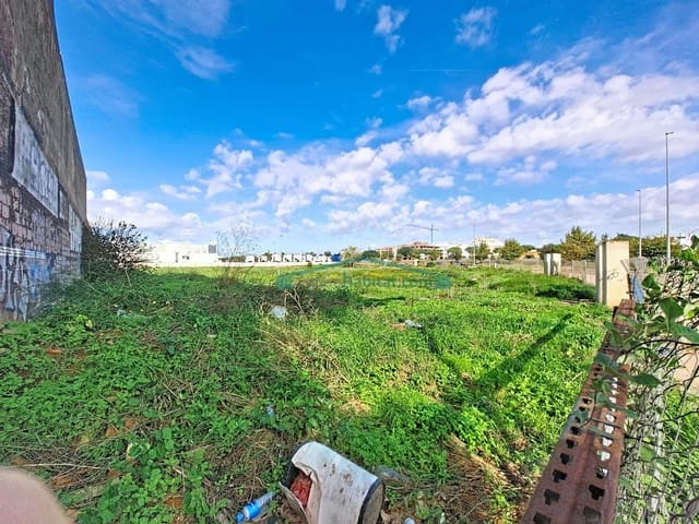 Terre non Aménagée à vendre à Albal - 930 000 € (Ref: 10174031)