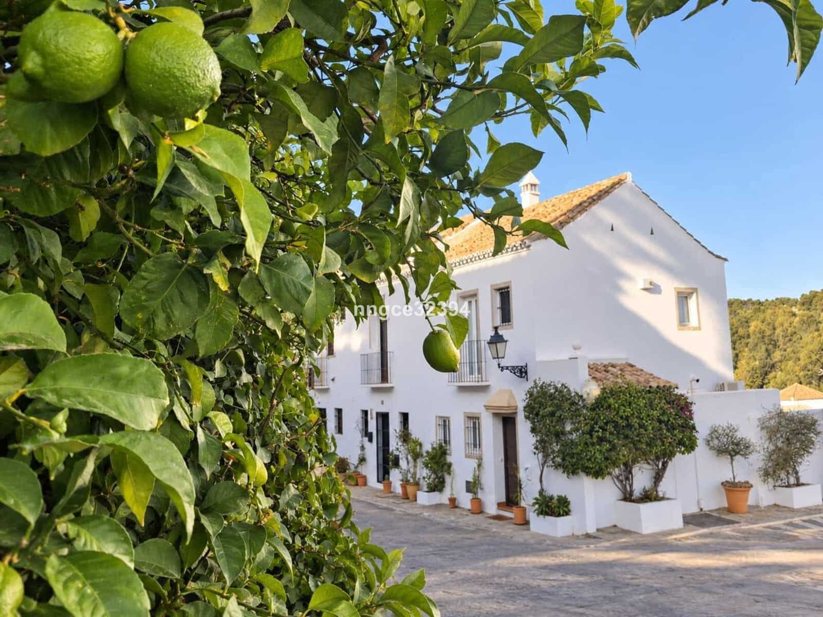 2 soverom Kjedet enebolig til salgs i Nueva Andalucia med svømmebasseng - € 469 000 (Ref: 10179300)