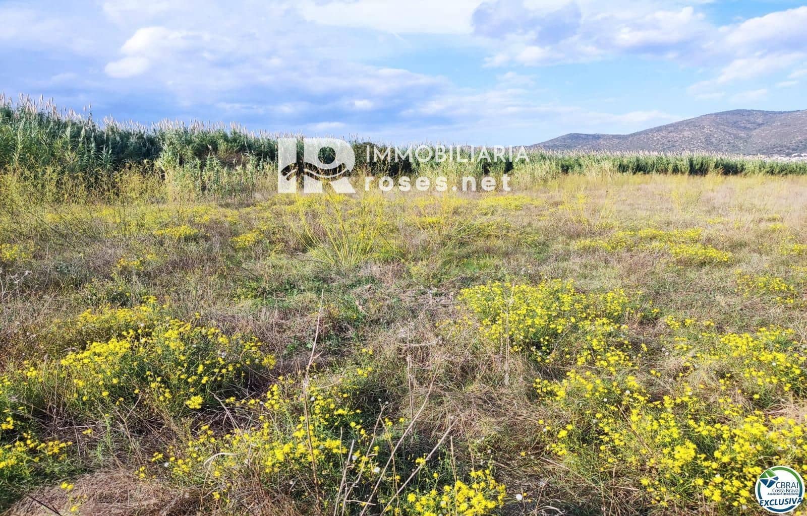 Tomt till salu i Torroella de Fluvia - 29 000 € (Ref: 10099160)