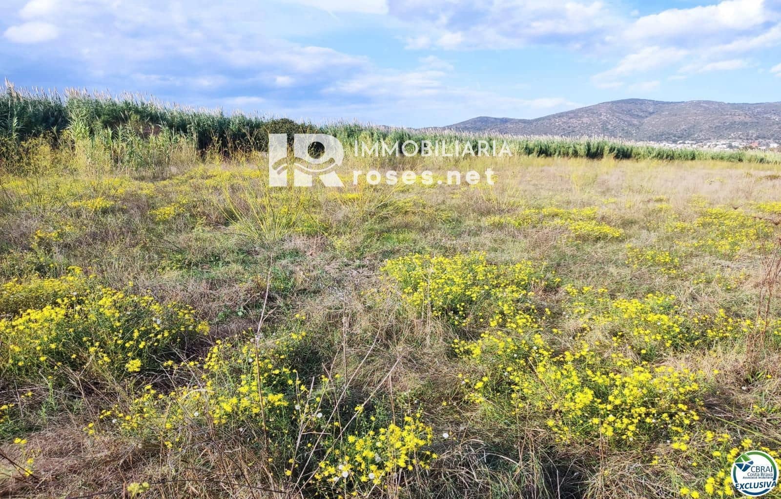 Tomt till salu i Torroella de Fluvia - 29 000 € (Ref: 10099160)
