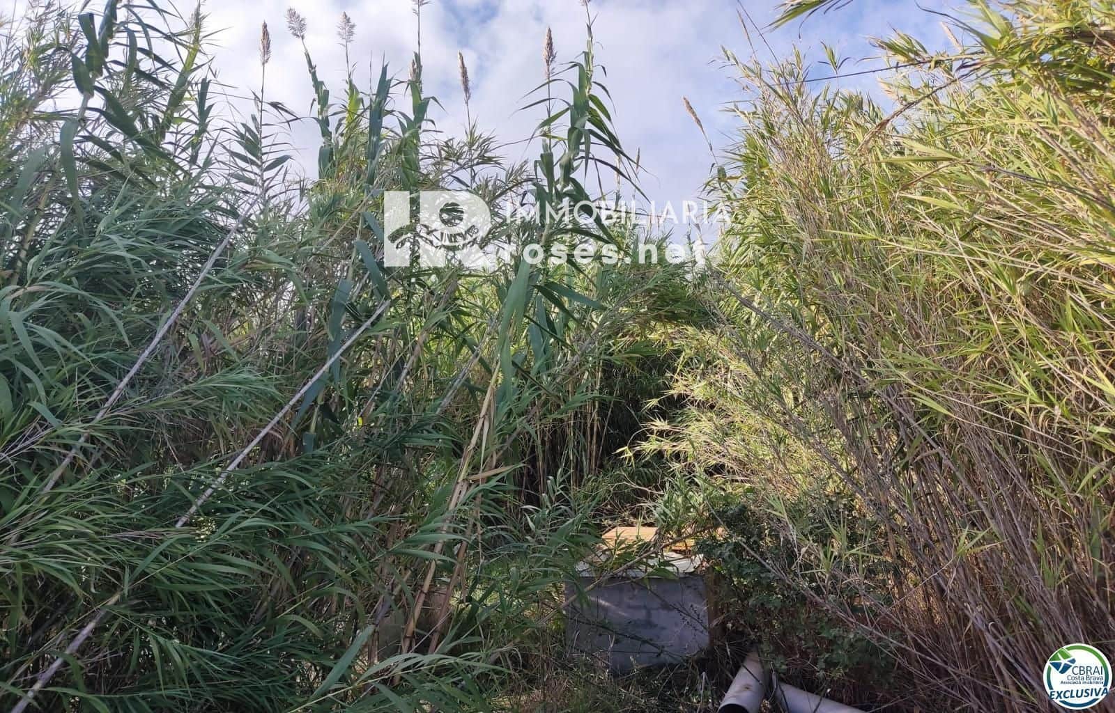 Tomt till salu i Torroella de Fluvia - 29 000 € (Ref: 10099160)