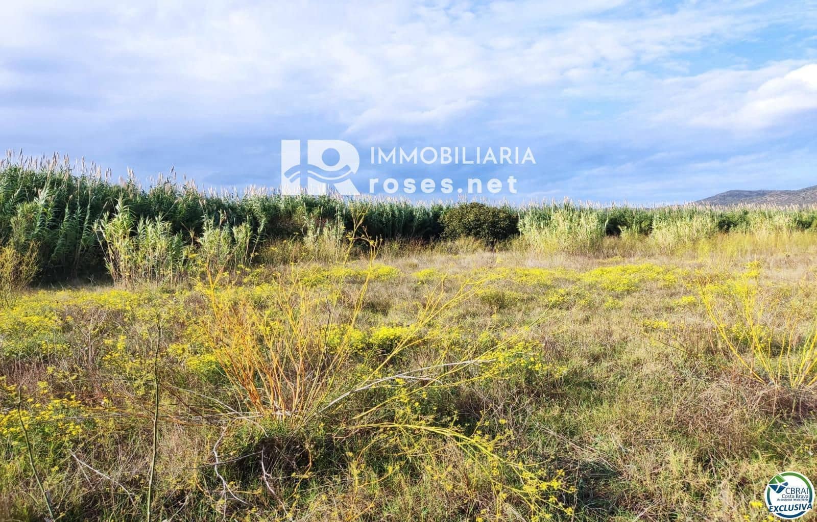 Tomt till salu i Torroella de Fluvia - 29 000 € (Ref: 10099160)