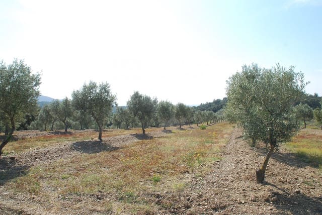 Building Plot for sale in Garriguella - € 85,000 (Ref: 7205688)