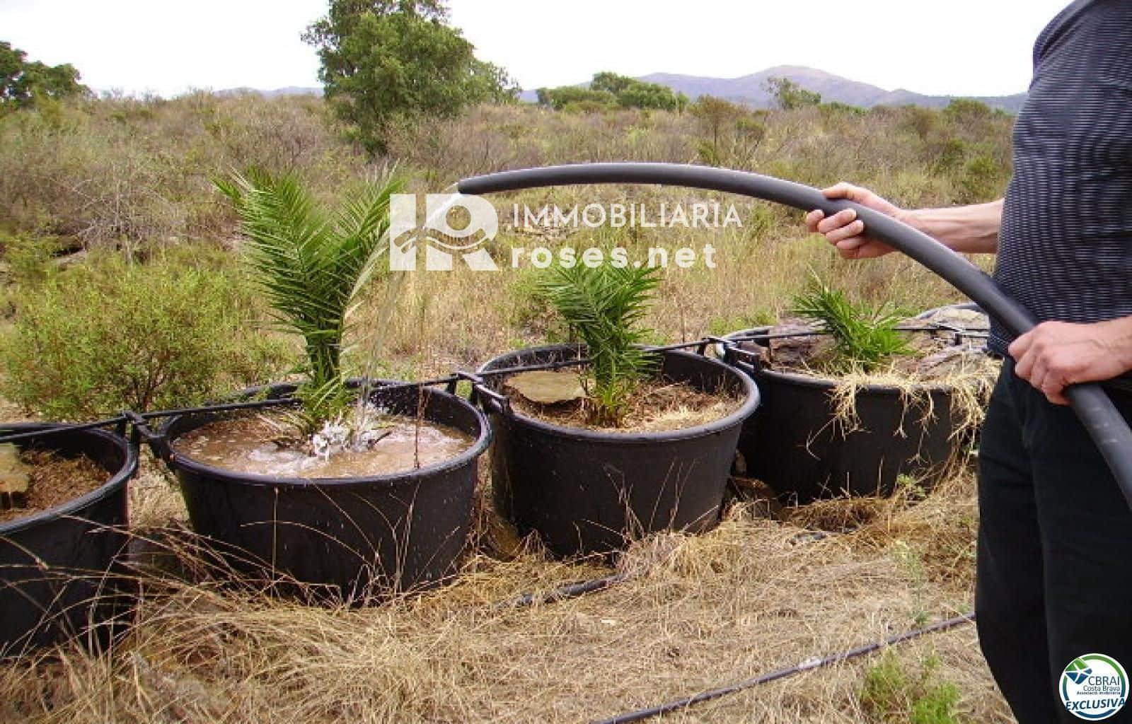 Byggegrund til salg i Garriguella - € 75.000 (Ref: 8335378)