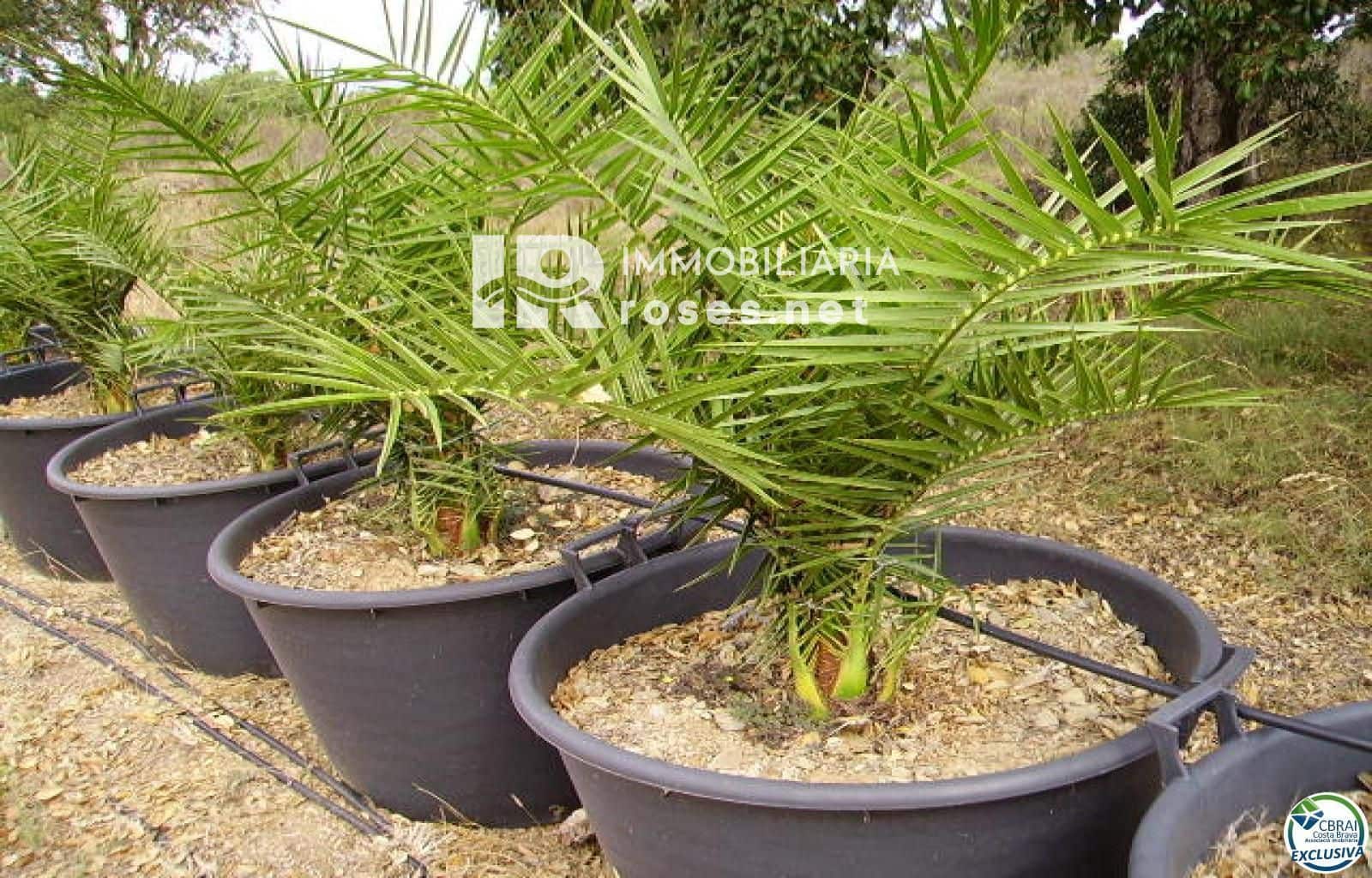 Byggegrund til salg i Garriguella - € 75.000 (Ref: 8335378)