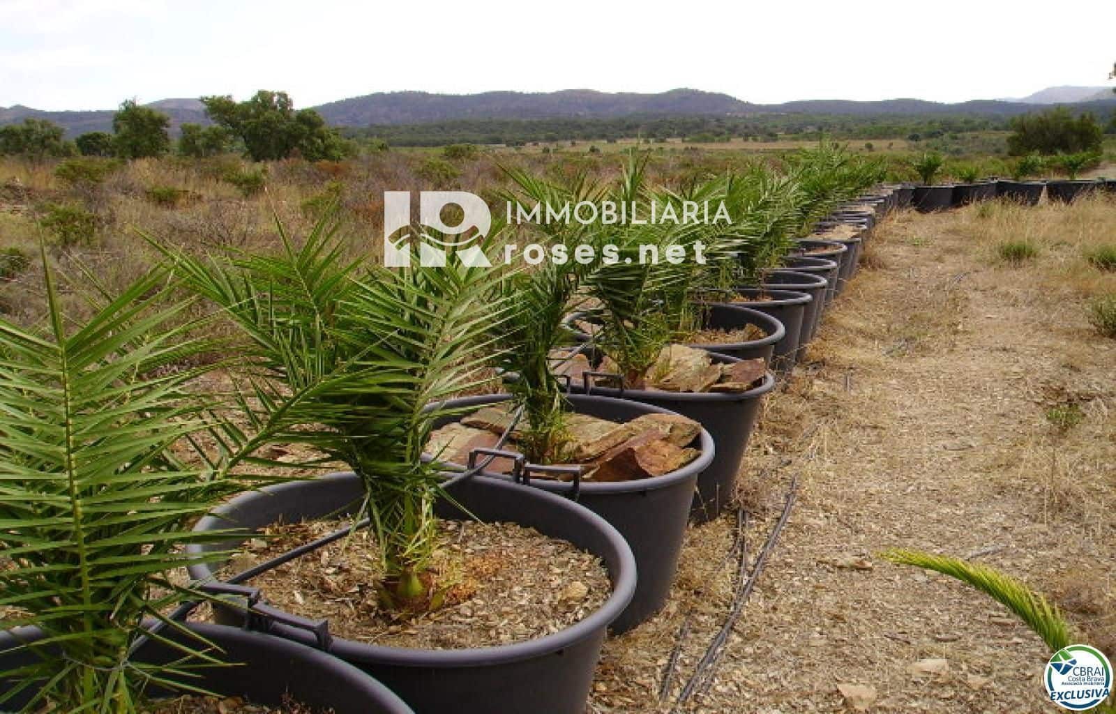 Byggegrund til salg i Garriguella - € 75.000 (Ref: 8335378)