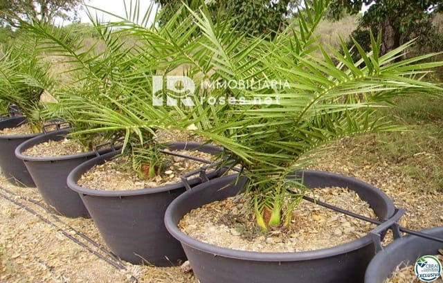 Building Plot for sale in Garriguella - € 75,000 (Ref: 8335378)