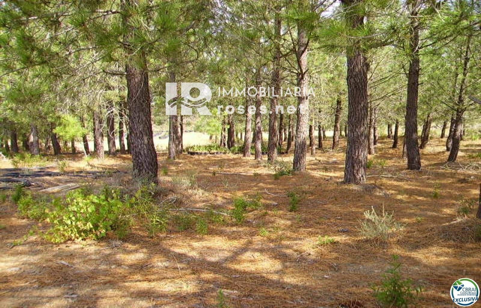 Byggegrund til salg i Garriguella - € 75.000 (Ref: 8335378)