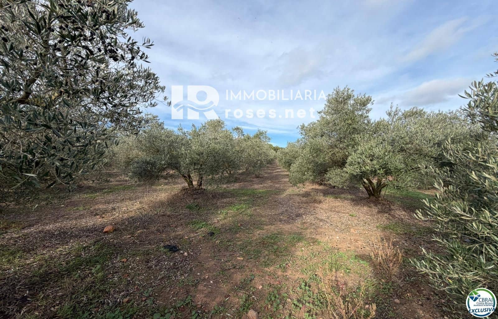 Tontti myytävänä paikassa Roses - 110 000 € (Ref: 9386013)