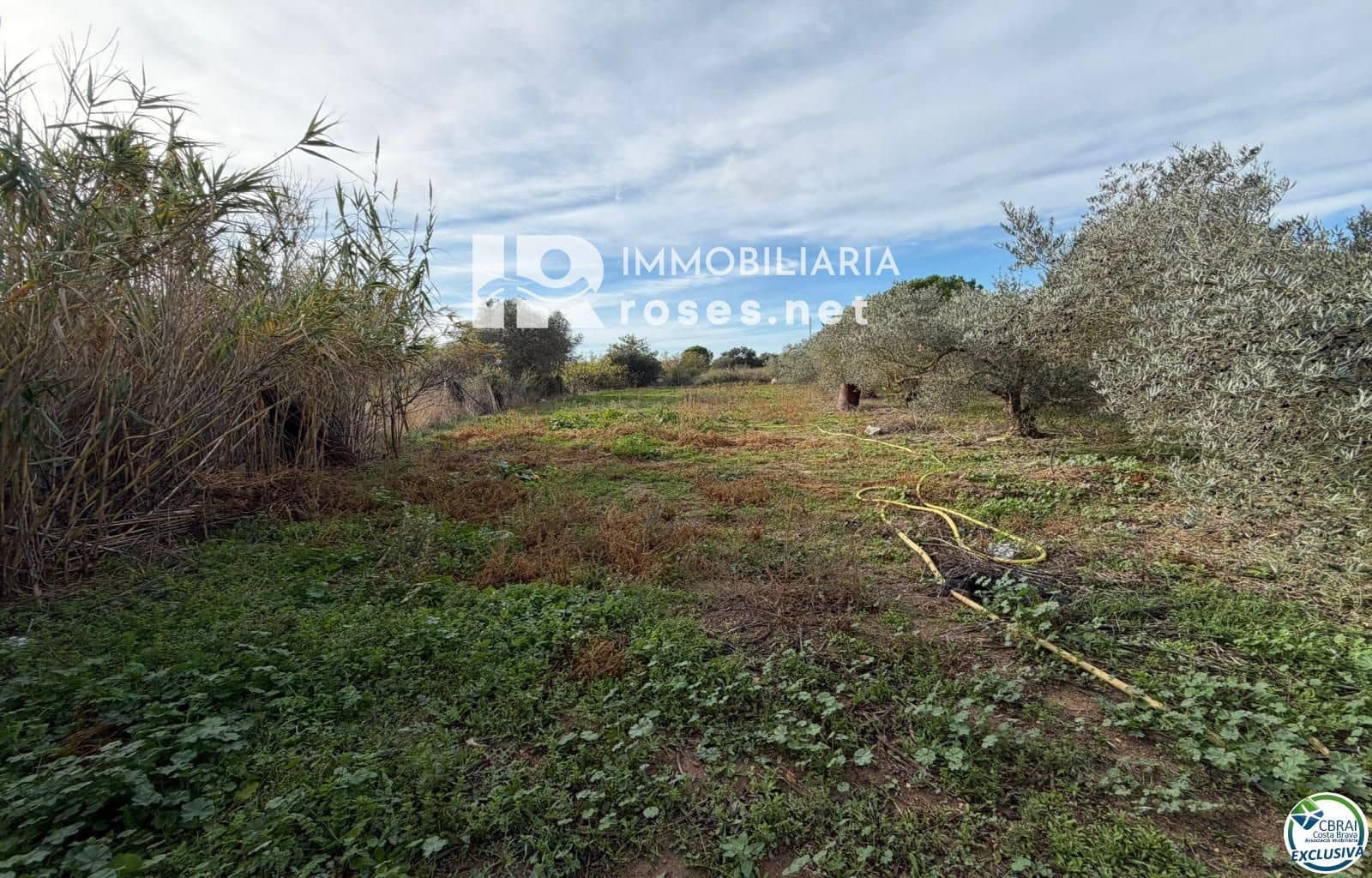 Tontti myytävänä paikassa Roses - 110 000 € (Ref: 9386013)