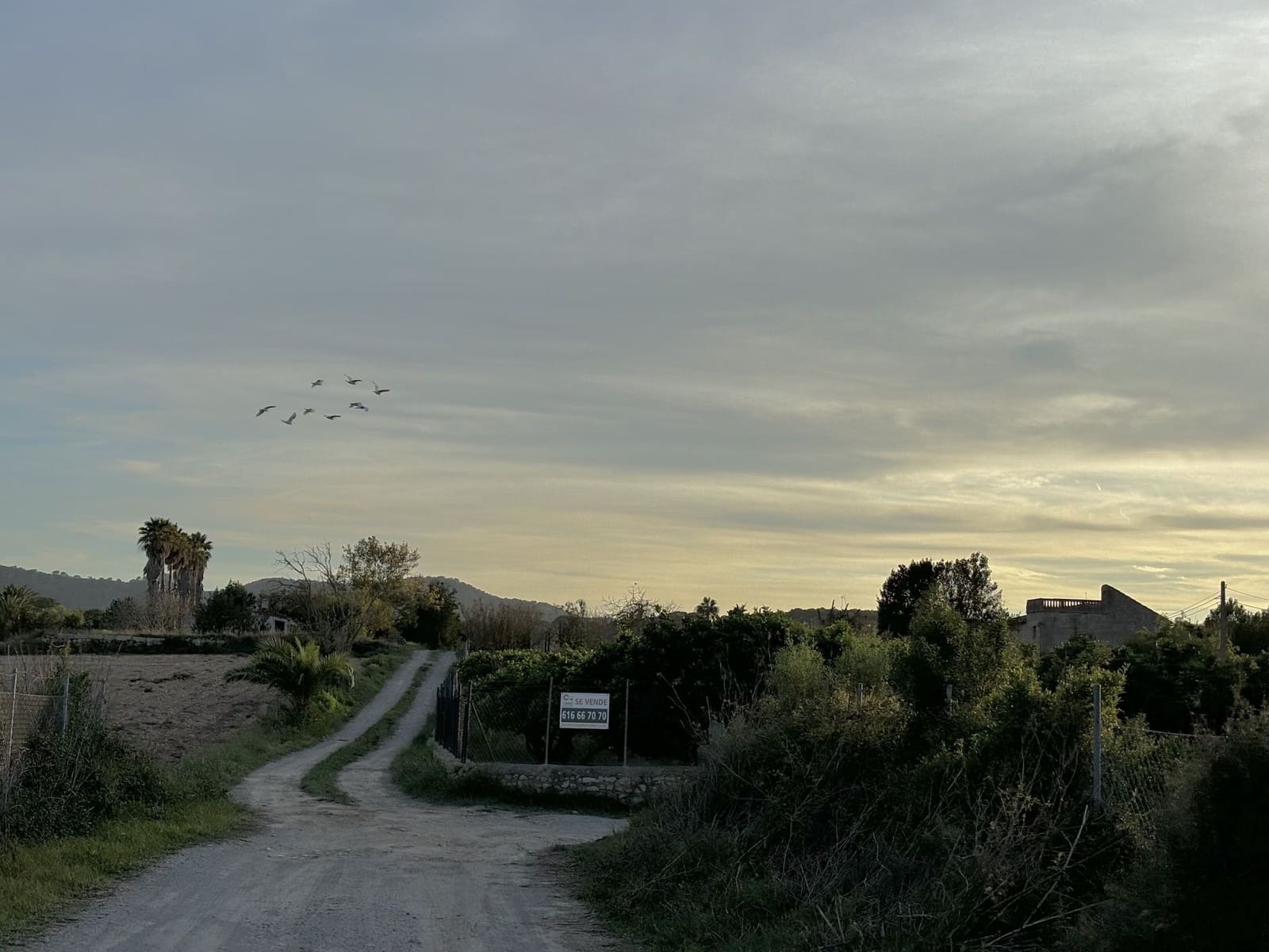 4 soveværelse Villa til salg i Manacor - € 530.000 (Ref: 8553953)